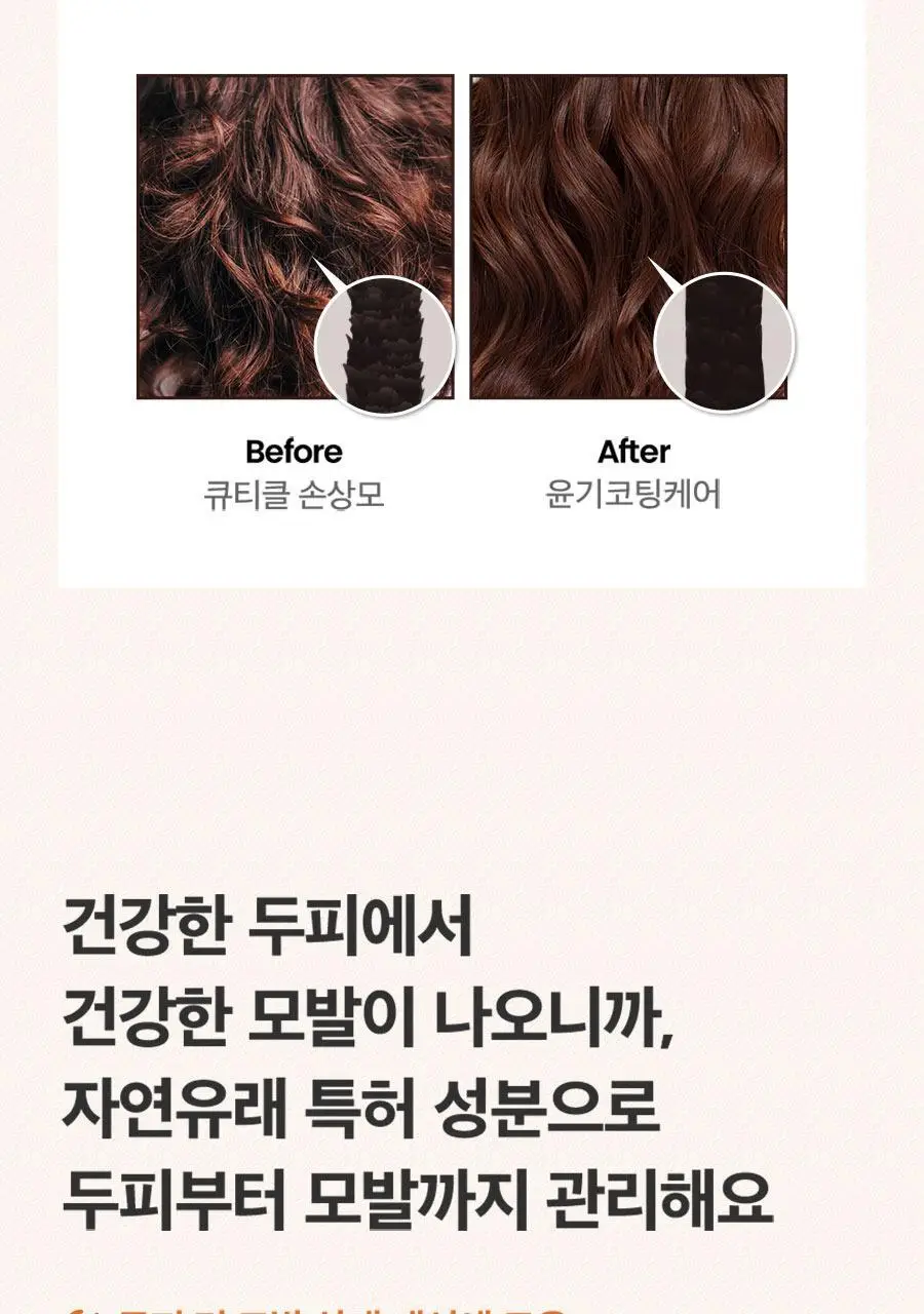 [트리트먼트 10매 증정] 스칼프 클렌징 샴푸 트윙클 시트러스 1,000ml 상세페이지 15